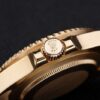 Rolex GMT-Master II-rl169