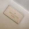 Louis Vuitton size：21x12x3cm
